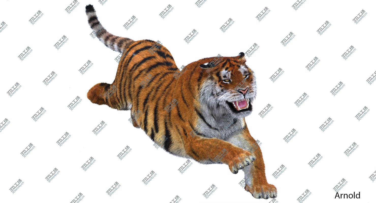 images/goods_img/20210319/Tiger Amur (Animated) (Fur)/3.jpg